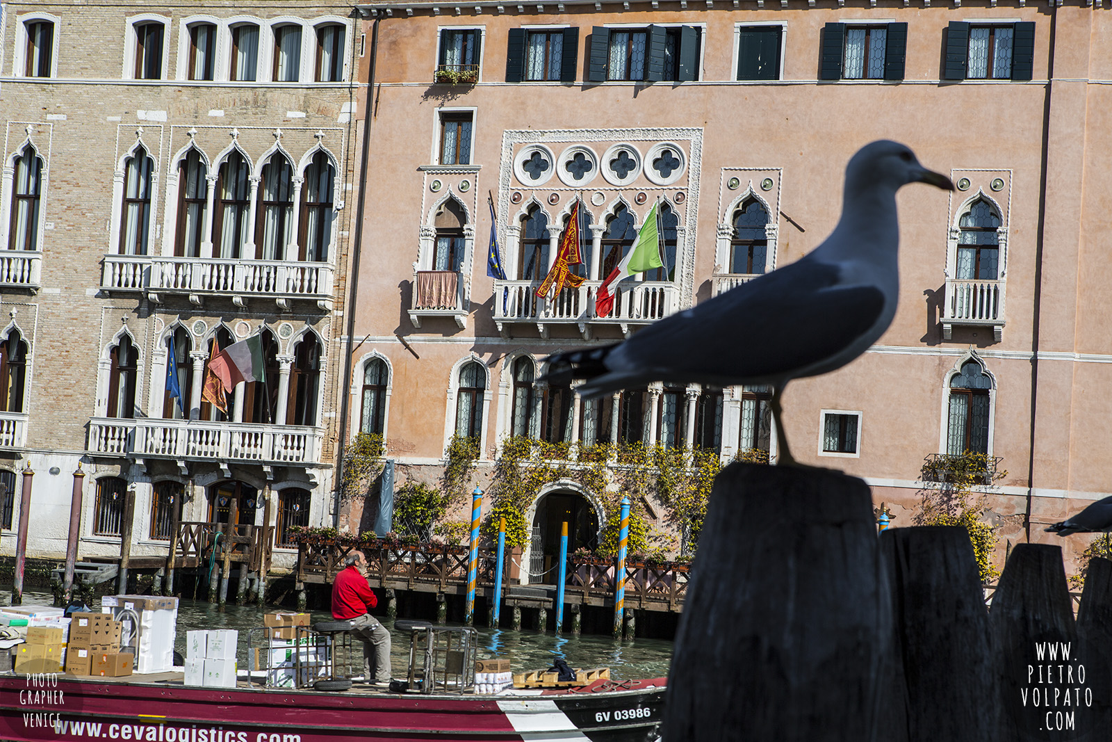 photographer venice photography workshop tour private photo walk exploring learning