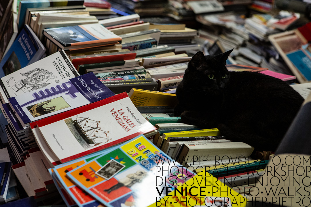 Photo Tour in Venice for Photography Enthusiasts
